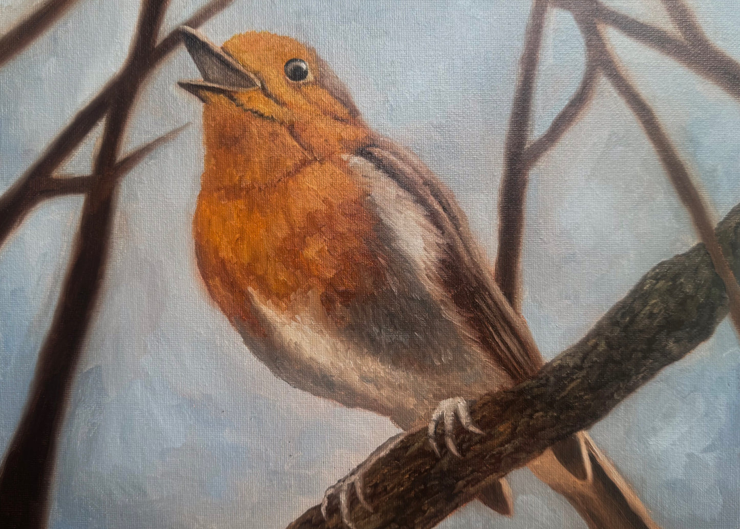 Robin Songs Print